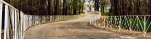 Winding street with trees on each side of a white barricades.